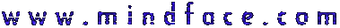 www.mindface.com